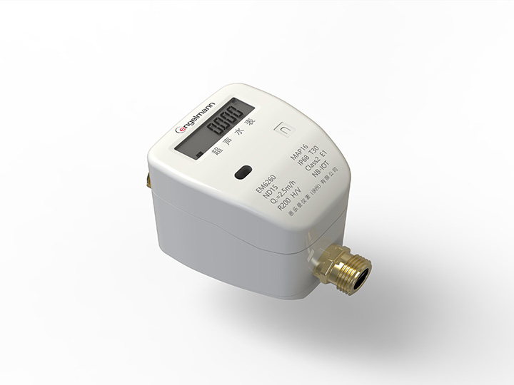 SENSOSTAR? EM6250 戶(hù)用超聲水表